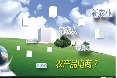 加快農(nóng)業(yè)信息化建設(shè)，拓展農(nóng)產(chǎn)品營(yíng)銷新渠道